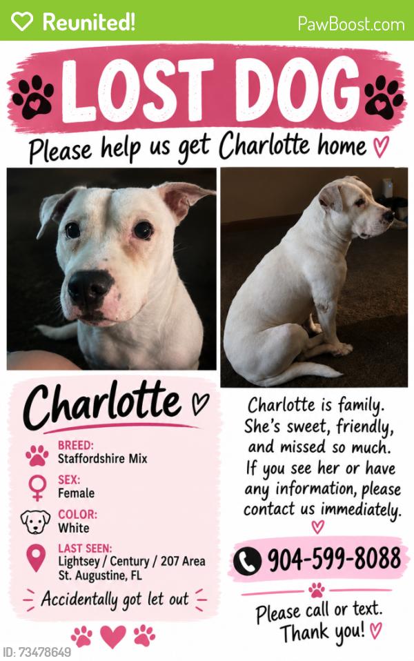 Reunited Female Dog last seen Lightsey rd 207, St. Augustine, FL 32084