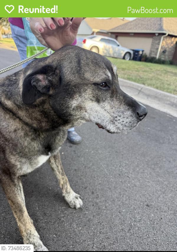 Reunited Male Dog last seen Lone Pine & Birchwood, Fort Worth, TX 76108
