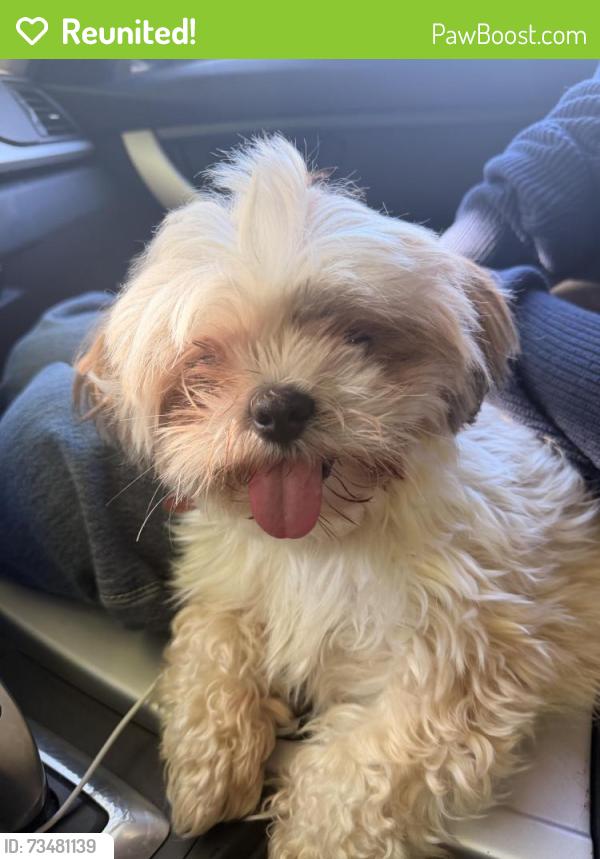 Reunited Female Dog last seen Margaret st, gotzian st, Saint Paul, MN 55106