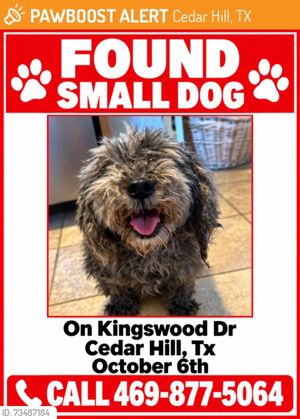 Found/Stray Unknown Dog last seen Kingswood Dr & Heath Dr., Cedar Hill, TX 75104