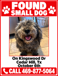Found/Stray Unknown Dog last seen Kingswood Dr & Heath Dr., Cedar Hill, TX 75104