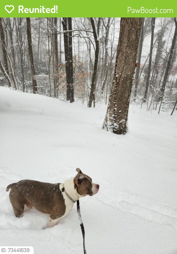 Reunited Male Dog last seen Dellinger dr, Charlotte, NC 28269