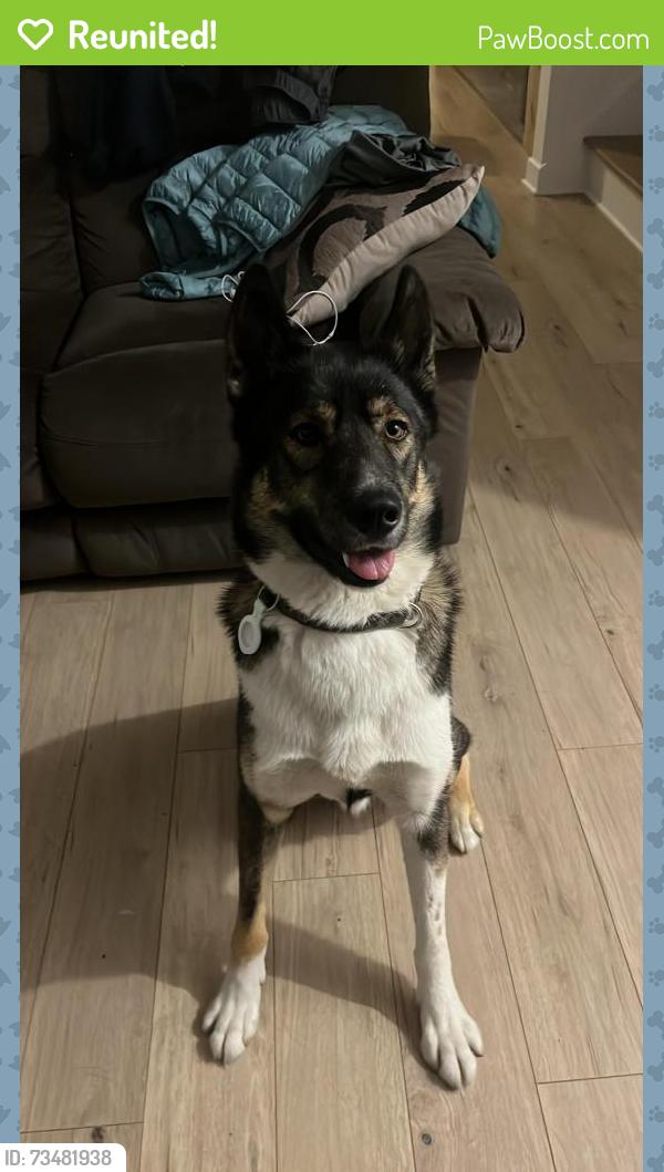 Reunited Male Dog last seen Croissant Olivier, zone O Brossard, Brossard, QC 