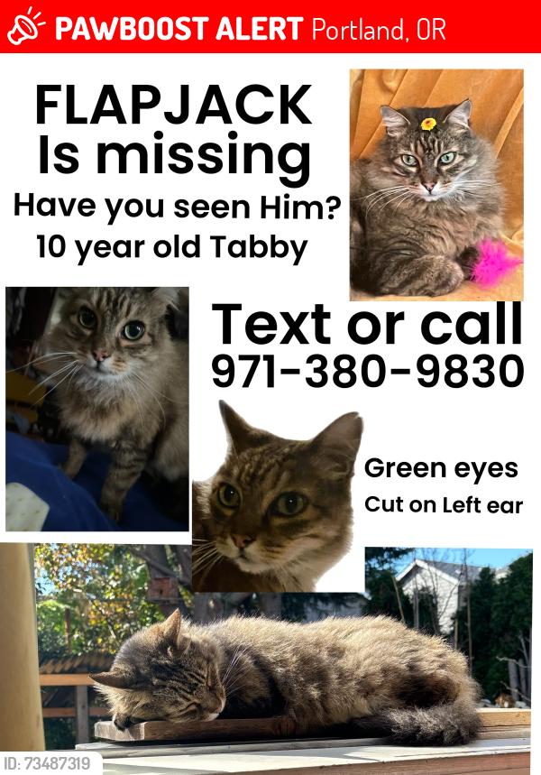 Lost Male Cat last seen Near se center st portland oregon, Portland, OR 97206