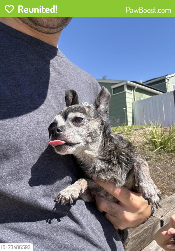 Reunited Unknown Dog last seen Valley Mill Road, El Cajon, CA 92020