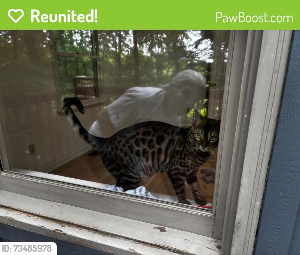 Reunited Male Cat last seen Taylor, Eden, Lancaster, PA 17601