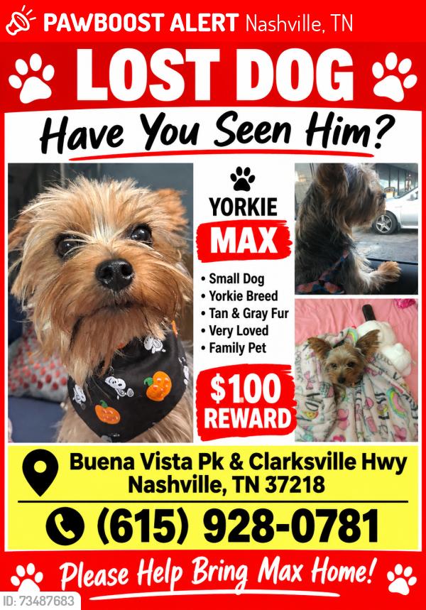 Lost Male Dog last seen call for more info, Nashville, TN 37218