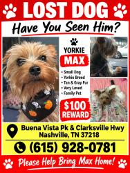 Lost Male Dog last seen call for more info, Nashville, TN 37218