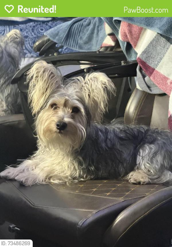 Reunited Male Dog last seen Skyview park, Pinellas Park, FL 33782
