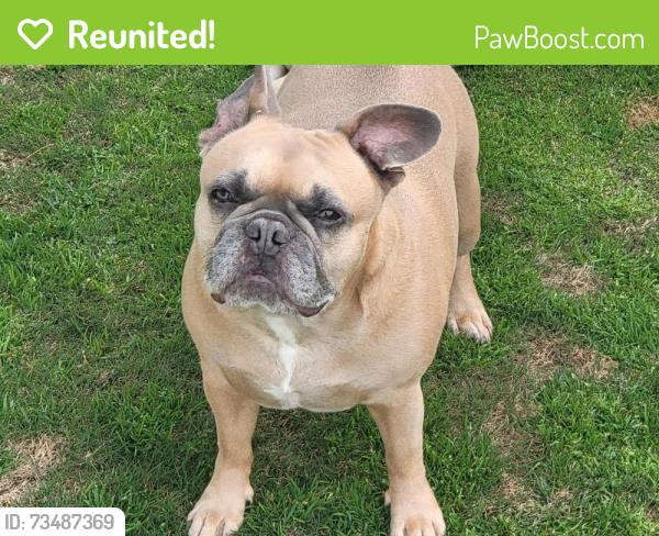 Reunited Female Dog last seen Jackie Dr, San Diego, CA 92119