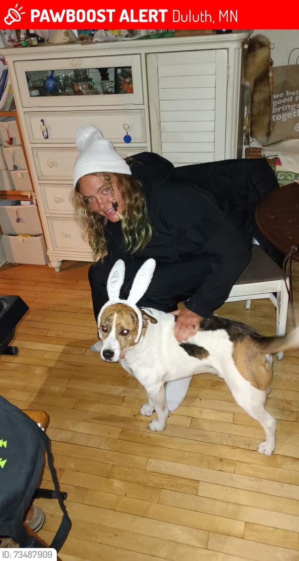 Lost Male Dog last seen lakewood covenant church, Duluth, MN 55804