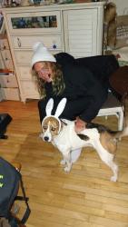 Lost Male Dog last seen lakewood covenant church, Duluth, MN 55804