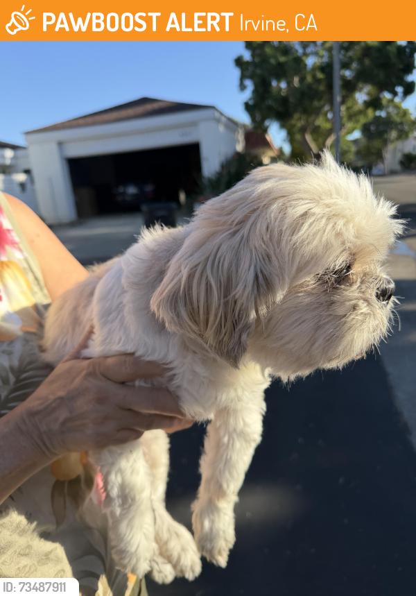 Found/Stray Male Dog last seen Sandburg way & bayberry way, Irvine, CA 92612