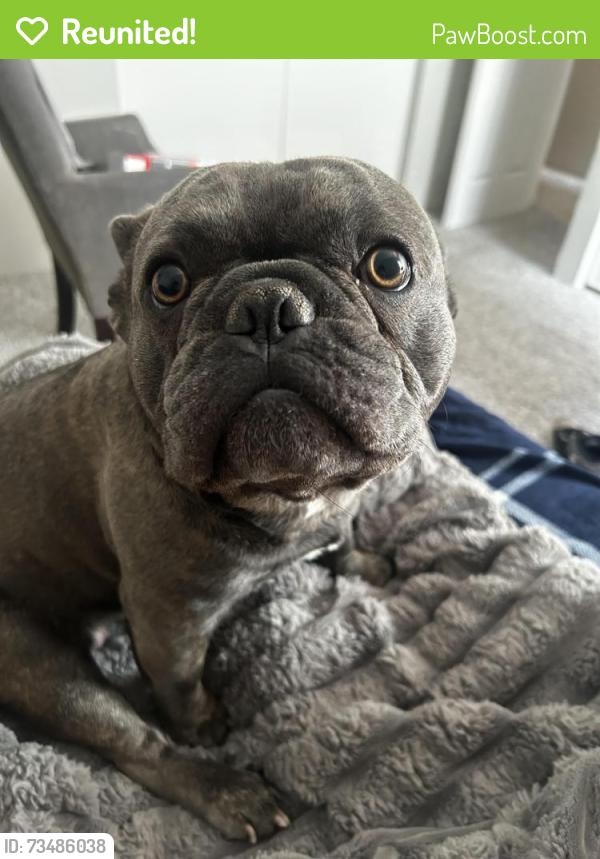 Reunited Male Dog last seen Near Riverdale Rd, Thornton, CO 80229