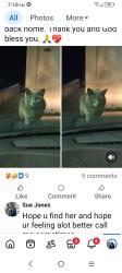 Lost Female Cat last seen Hardy and Early Road, Columbia, TN 38401