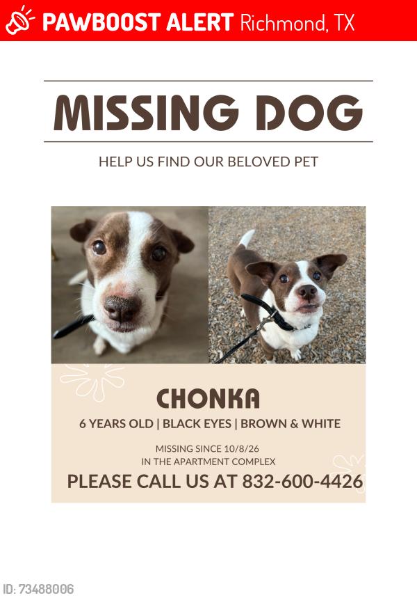 Lost Female Dog last seen Travis high school, Richmond, TX 77406