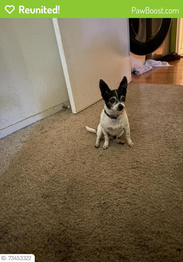 Reunited Male Dog last seen Savemart, Tracy, CA 95376