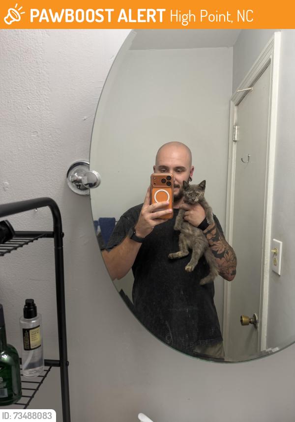 Found/Stray Unknown Cat last seen High Point Musuem, High Point, NC 27264
