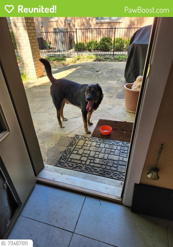 Reunited Male Dog last seen Harbortown cir, Mansfield, TX 76063