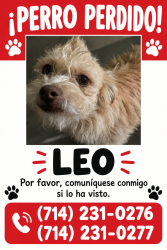 Reunited Male Dog last seen Briarvale St, Corona, CA 92879