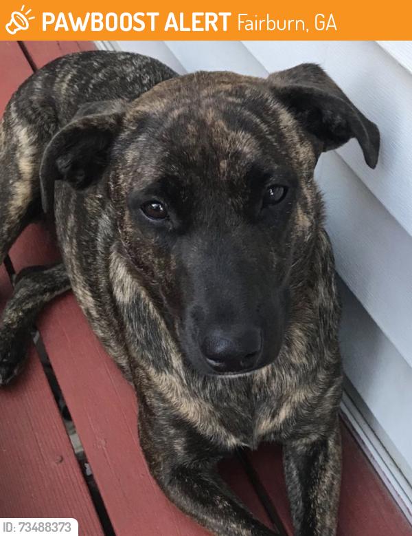 Found/Stray Unknown Dog last seen Family dollar on the intersection of Senoia rd and Milan road, Fairburn, GA 30213