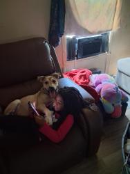 Reunited Male Dog last seen Barnett St, Lancaster , SC 29720, Lancaster, SC 29720