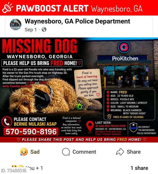 Lost Male Dog last seen Gas pro, Waynesboro, GA 30830