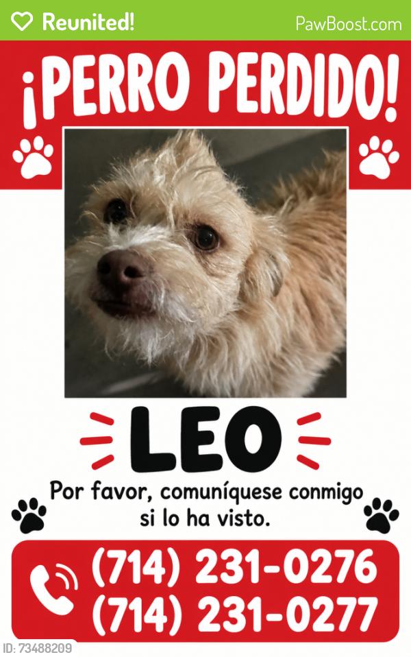 Reunited Male Dog last seen Briarvale St, Corona, CA 92879