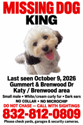 Reunited Male Dog last seen Near Venito Dr, Katy, TX 77449