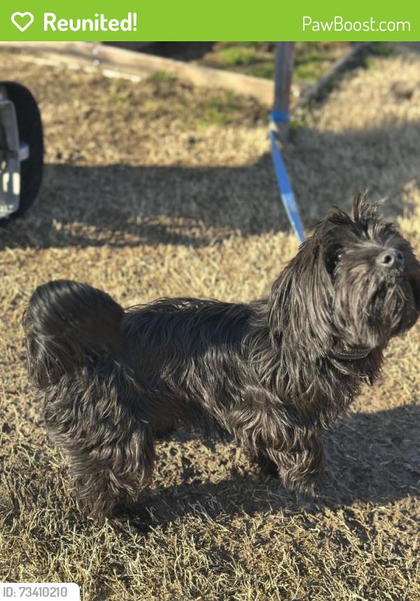 Reunited Male Dog last seen Siddlehill and Three Wishes in Olive Branch, Olive Branch, MS 38654
