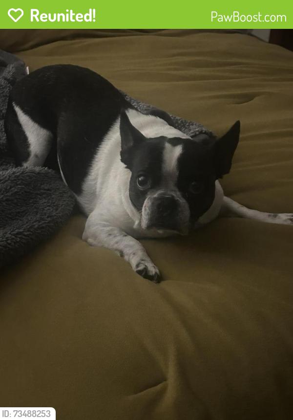 Reunited Female Dog last seen Good Hope Rd, Milwaukee, WI 53224