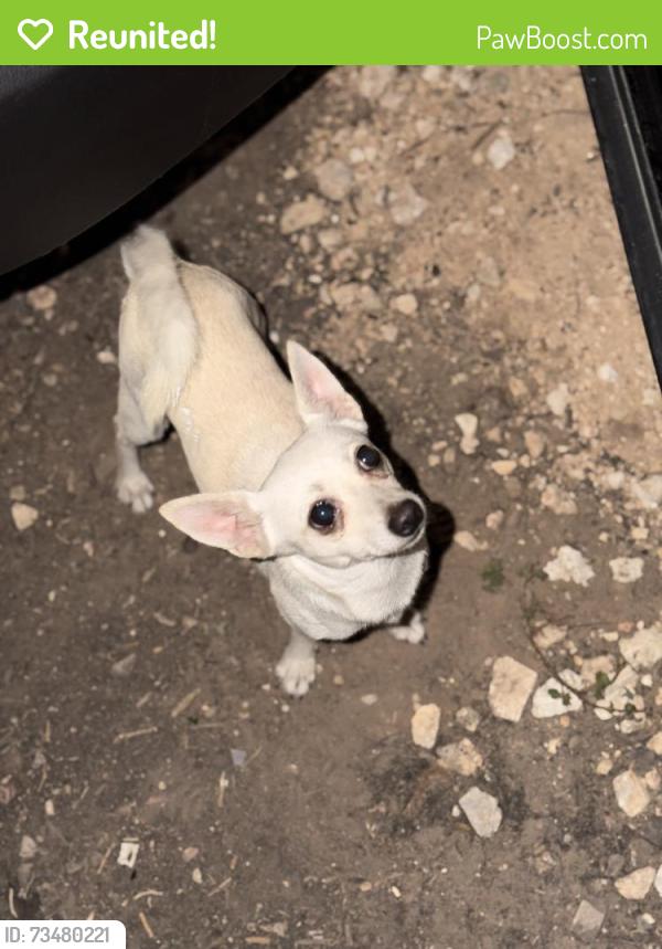 Reunited Male Dog last seen River park Dr & Fm 725 New Braunfels, Guadalupe County, TX 78130