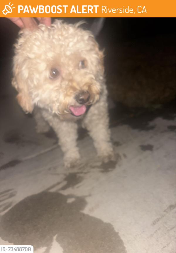 Found/Stray Male Dog last seen Near kingsbury place, Riverside, CA 92503
