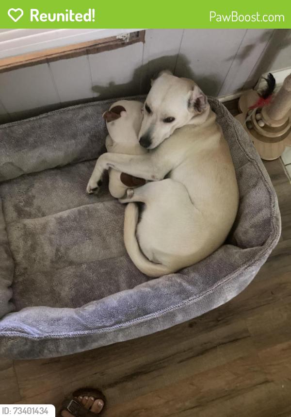 Reunited Male Dog last seen Fisher Rr, Goodlettsville, TN 37072