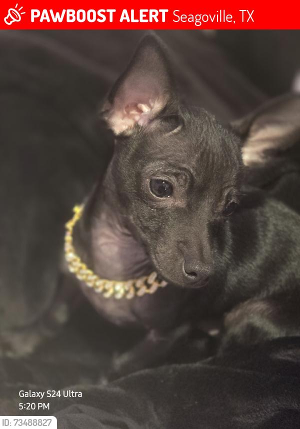 Lost Male Dog last seen Lawson, Seagoville, TX 75159