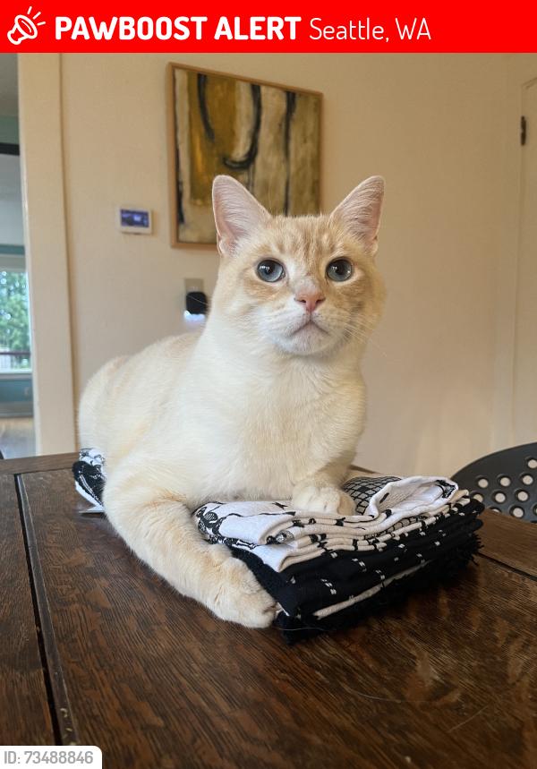 Lost Male Cat last seen 66th Ave S & S Ryan St, Seattle, WA 98178