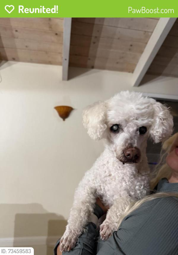 Reunited Male Dog last seen Sparrowvalley road in aptos, Aptos, CA 95003