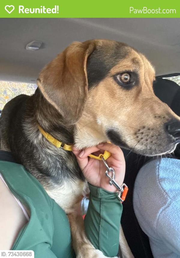 Reunited Male Dog last seen SE 122nd and Kelly Street, Portland, OR 97266