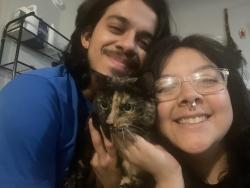 Reunited Female Cat last seen South Westmoreland & Gannon Ln, Near Joe V’s Smartshop, Dallas, TX 75237
