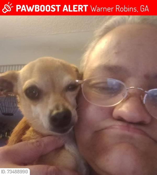 Lost Male Dog last seen north houston rd warner robins ga, Warner Robins, GA 31093