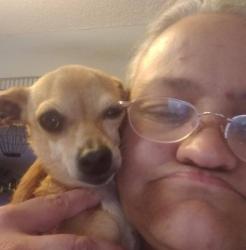 Lost Male Dog last seen north houston rd warner robins ga, Warner Robins, GA 31093