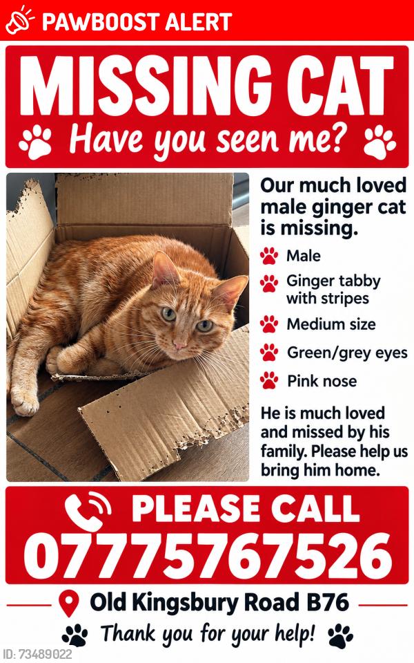 Lost Male Cat last seen The Boat Pub, Birmingham, England B76 9AE