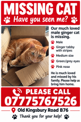 Lost Male Cat last seen The Boat Pub, Birmingham, England B76 9AE