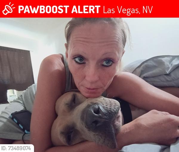 Lost Female Dog last seen mojave, Las Vegas, NV 89101