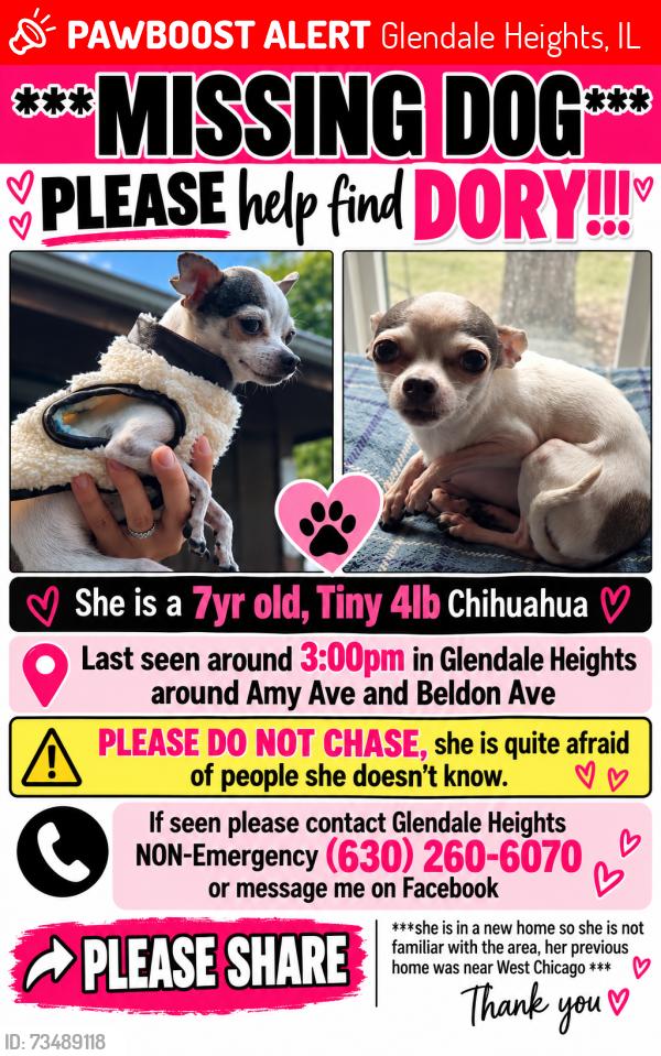 Lost Female Dog last seen Amy and Belden, Glendale Heights, IL 60137