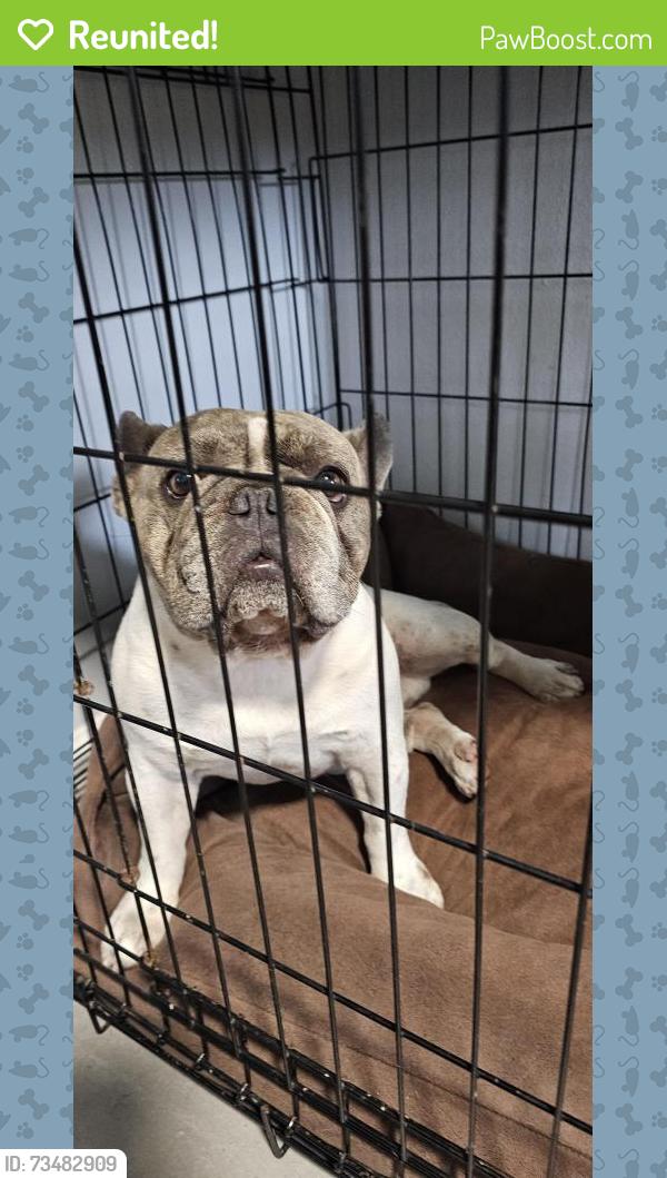 Reunited Male Dog last seen Egan, Orlando, FL 32822