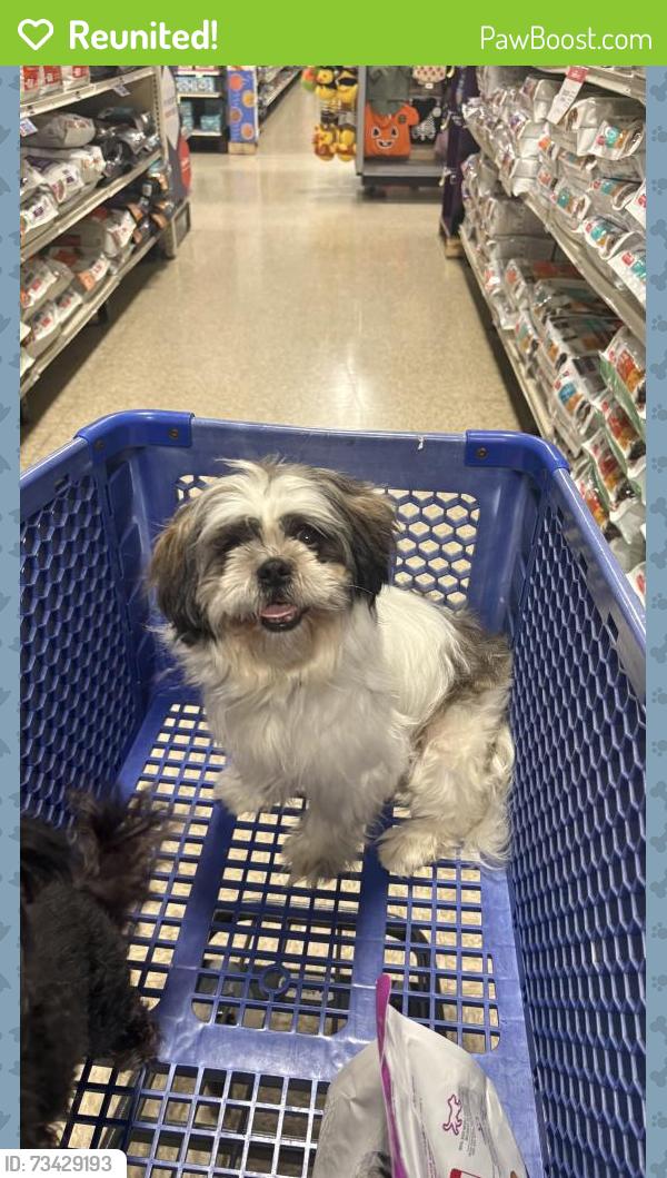 Reunited Female Dog last seen Lexington and Independence, Missouri City, TX 77489
