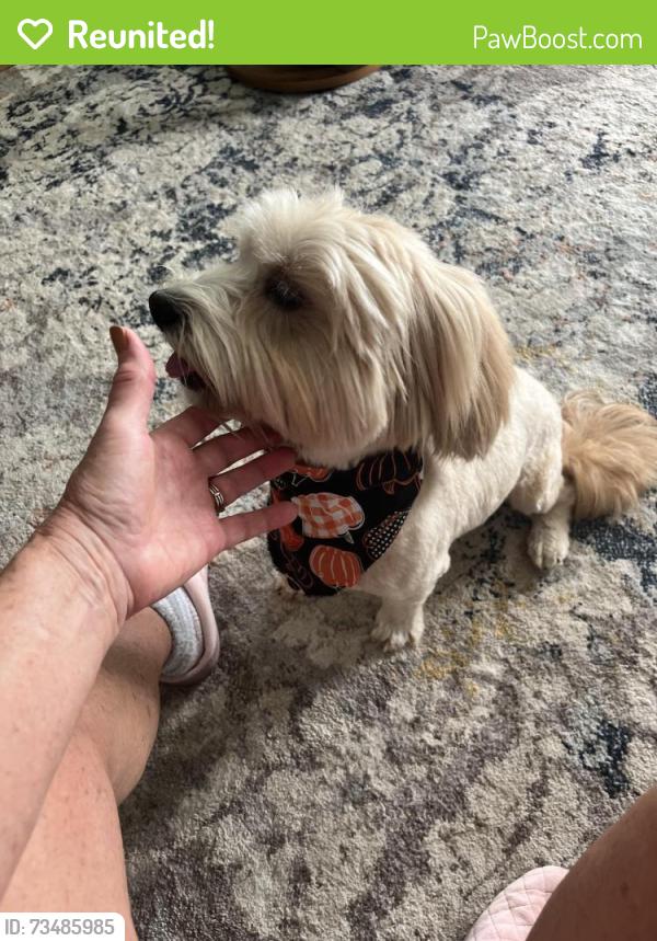 Reunited Male Dog last seen Old bridge street, Jacksonville, NC 28540