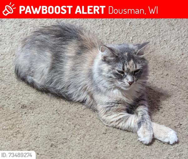 Lost Female Cat last seen Honeysuckle Dr, Dousman, WI 53118
