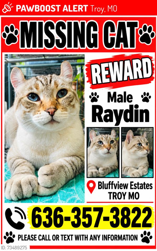 Lost Male Cat last seen Bluffview drive, Troy, MO 63379
